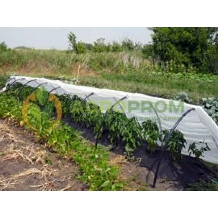 Парник 3м/60