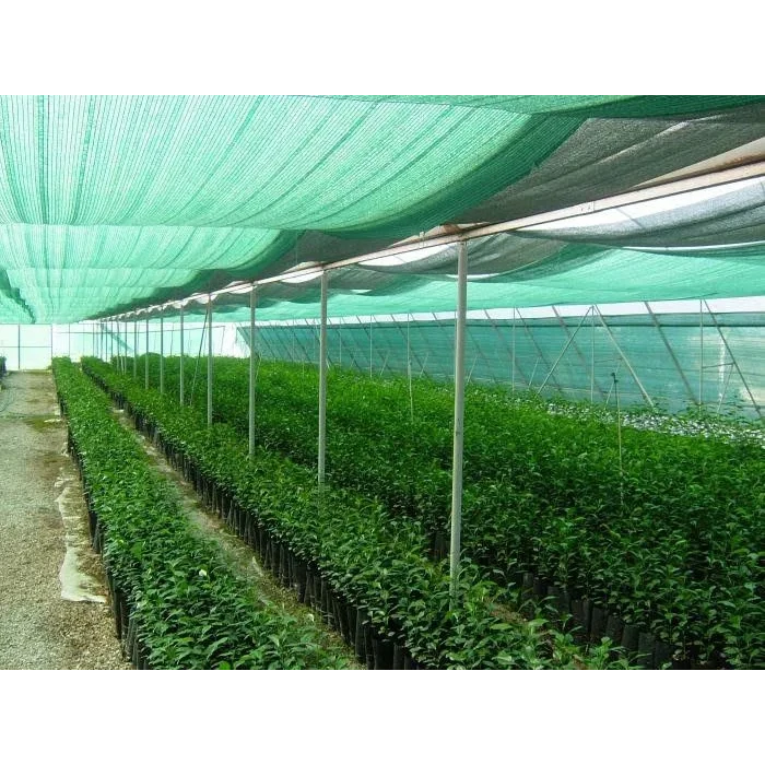 Зат. сетка 65% 2Х1 (55-60%)