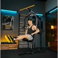 Силовая фитнес станция Trex Sport TX-450HG с верхней и нижней тягой