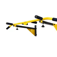 Турник настенный WCG Elite SE 030