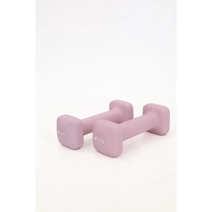 Гантели для фитнеса WCG Cube 2×1 кг