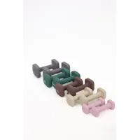 Гантели для фитнеса WCG Cube 2×1 кг