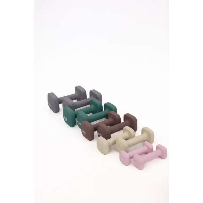 Гантели для фитнеса WCG Cube 2×1 кг