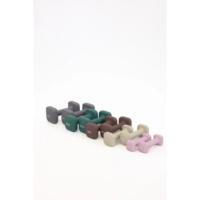 Гантели для фитнеса WCG Cube 2×2 кг