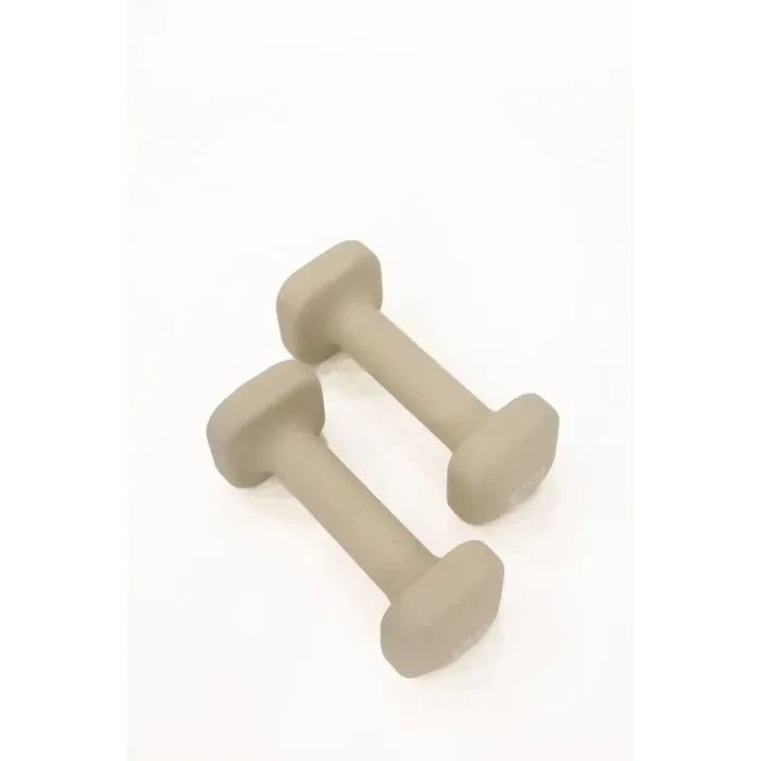 Гантели для фитнеса WCG Cube 2×2 кг
