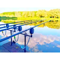 Набор стоек с телескопическими буз барами World4Carp Stand Kit Universal 2