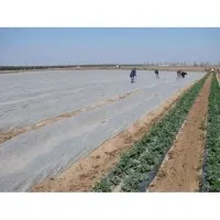 Агроволокно Біле на метраж. Ширина 2,1 м. 42 г/м². Полотно для полуниці. УФ-стабілізатор