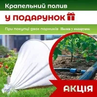 Комплект 2 парники по 6 м. 42 г/м² + Крапельний полив у Подарунок. Агропарник арочний. Міні теплиця з поливом