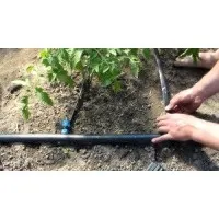 Капельный полив комплект 100 м для парника, теплицы. Система капельного орошения