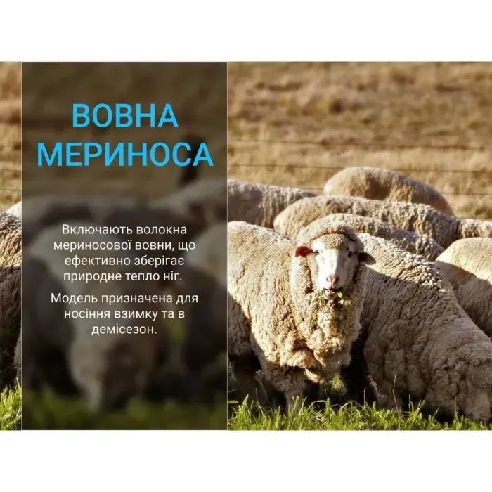 Dexshell Terrain Walking 2.0 Хакі S 36-38 Водонепроникні шкарпетки з мериносовою вовною для туризму