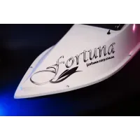 Кораблик для рыбалки Фортуна 27000 mAh с GPS автопилотом Fortuna X. Кораблик для прикормки
