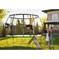 Батут Zipro Premium 252 см із внутрішньою захисною сіткою Jump Pro 8FT IN