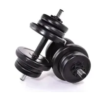 Набор гантелей 2x11 кг Neo-Sport наборные со сменными дисками