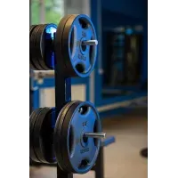 Диск для штанги RN-Sport 20 кг, Ø51 мм, Quatro-GRIP, черный, металл, с хватами, олимпийский, гарантия 5 лет