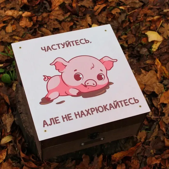 Наливатор алкоголя на 6 рюмок с музыкой и встроенным аккумулятором (с печатью). Автобармен. Робот-бармен
