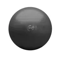 Мяч для фитнеса (фитбол) WCG 85 Anti-Burst 300кг Графит. Гладкий мяч для растяжки. Фитбол для фитнеса